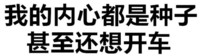 我的内心 都是种子 甚至还想开车 得瑟