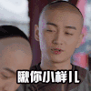 那年花开月正圆 陈晓 帅哥