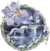 流星花园 马 狂奔 星星
