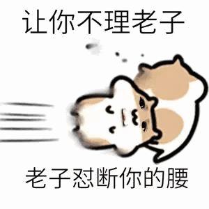 让你不理老子怼断你的腰gif斗图gif搞笑gif仓鼠管家gif可爱gif