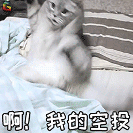萌宠 猫 猫咪 吃鸡 空投 soogif soogif出品