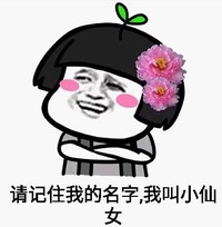 熊猫头 魔性 沙雕 小仙女 搞笑