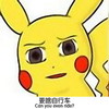 比卡丘 要啥自行车 眼睛  搞笑 嘚瑟