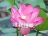 魔性 搞笑 沙雕 头像 佛系