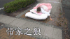 不想 带家之狼 滑动