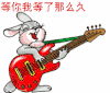 兔子 弹吉他 可爱 呆萌