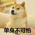 单身 单身狗 柴犬