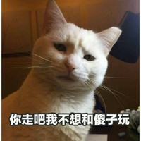 可爱 猫咪 你走吧 我不和傻子玩