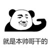 暴漫 熊猫头 就是本帅哥干的 文字表情包 搞笑 魔性