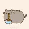 猫猫 巨胖 吃面条 可爱