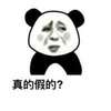 真的似的 熊猫人 聊天 真的假的