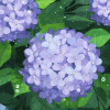 清明节