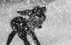 小鹿斑比 动画 bambi