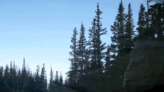 Cinemagraph 大樹 天空 風(fēng)景