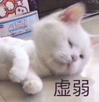 萌宠 猫星人 虚弱 生无可恋 搞怪