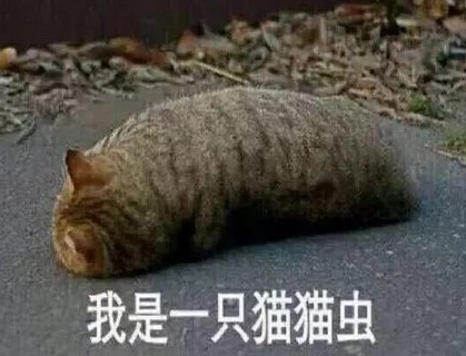 魔性 沙雕 大杂烩 搞笑 逗
