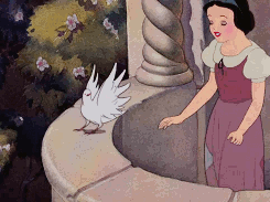 迪士尼 白雪公主 迪士尼的挑战 白雪公主和七个小矮人 雪王子 费迪南王子 邪恶的皇后 迪士尼Meme