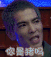你是猪吗