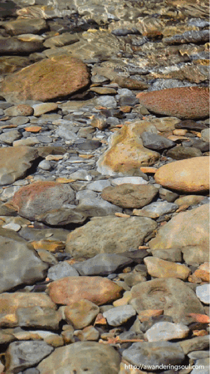 河水 石头 流淌 清澈