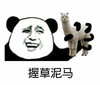 熊猫人 羊驼 愤怒 握草泥马