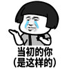 暴漫 熊猫头 当初的你 是这样的 搞怪 逗