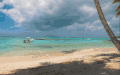 多米尼加共和国 海洋 清澈 纪录片 蓬塔卡纳 阳光 风景