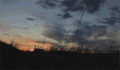 Cinemagraph 植物 天空 夕阳