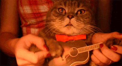 猫咪 喵星人 弹吉他 生无可恋 搞笑