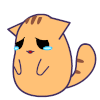 猫咪 难过 流泪 伤心