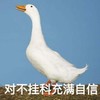 萌宠 大白鹅 对不挂科充满自信 期末考 搞怪 逗