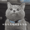 猫咪 喵星人 双飞萌萌哒 搞笑 可爱