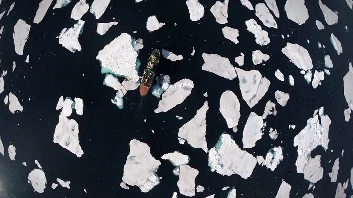 冰 浮冰 船 自然 美 ice nature