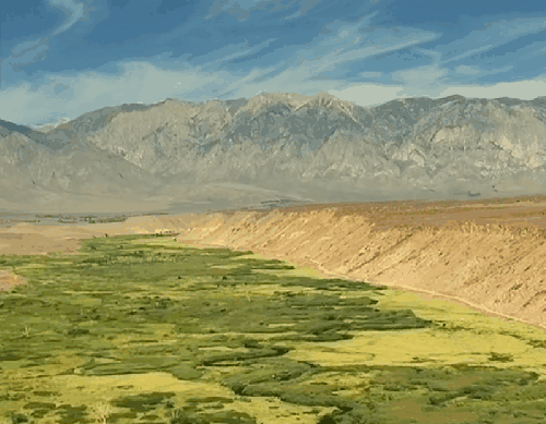 加利福尼亚 原野 植物 纪录片 航拍美国 风景