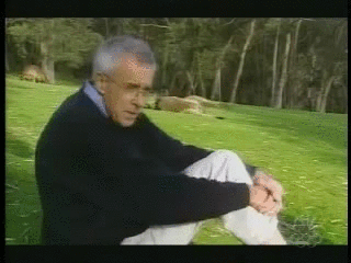 哈喽 帅哥 你好酷哦 傻逼
