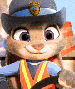 萌宠 兔子 开车 警察
