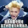 黄子韬  帅气   因为我眼中觉得真正的巨星只有我自己   抱头  耍帅
