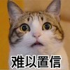 萌宠 喵星人 难以置信 不敢相信 呆萌 可爱