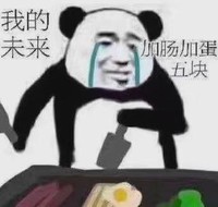 熊猫头 文字表情包 我的未来加肠加蛋五块 搞怪 逗 沙雕