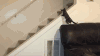 猫 失败 滑落 喜感 cat