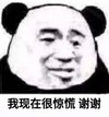 暴漫 熊猫头 我现在很惊慌 谢谢 搞怪 逗
