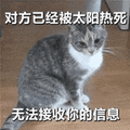 对方 信息 猫 太阳