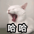 文字表情包 喵星人 萌宠 可爱 鬼畜