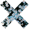 贴纸 卡通 封条 小雏菊 雏菊
