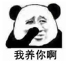 暴漫 文字表情包 我养你啊 搞笑 逗 沙雕