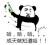 熊猫头 搞笑 雷人 斗图 哈哈哈 成天就知道哈