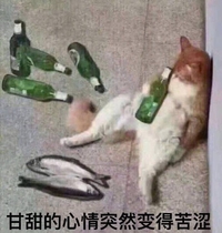 猫咪 喵星人 甘甜的心情突然变得苦涩 啤酒 咸鱼 斗图