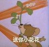 送你小花花 猫和老鼠 杰瑞 可爱