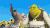 怪物史莱克 Shrek 史莱克 贫嘴驴 驴