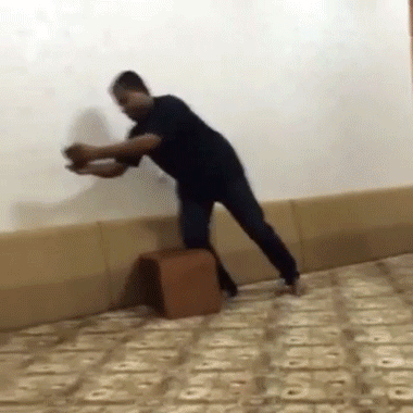 猫咪 喵星人 搞笑 淘气 逗逼