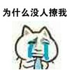 单身狗 可怜 流泪 为什么没人聊我